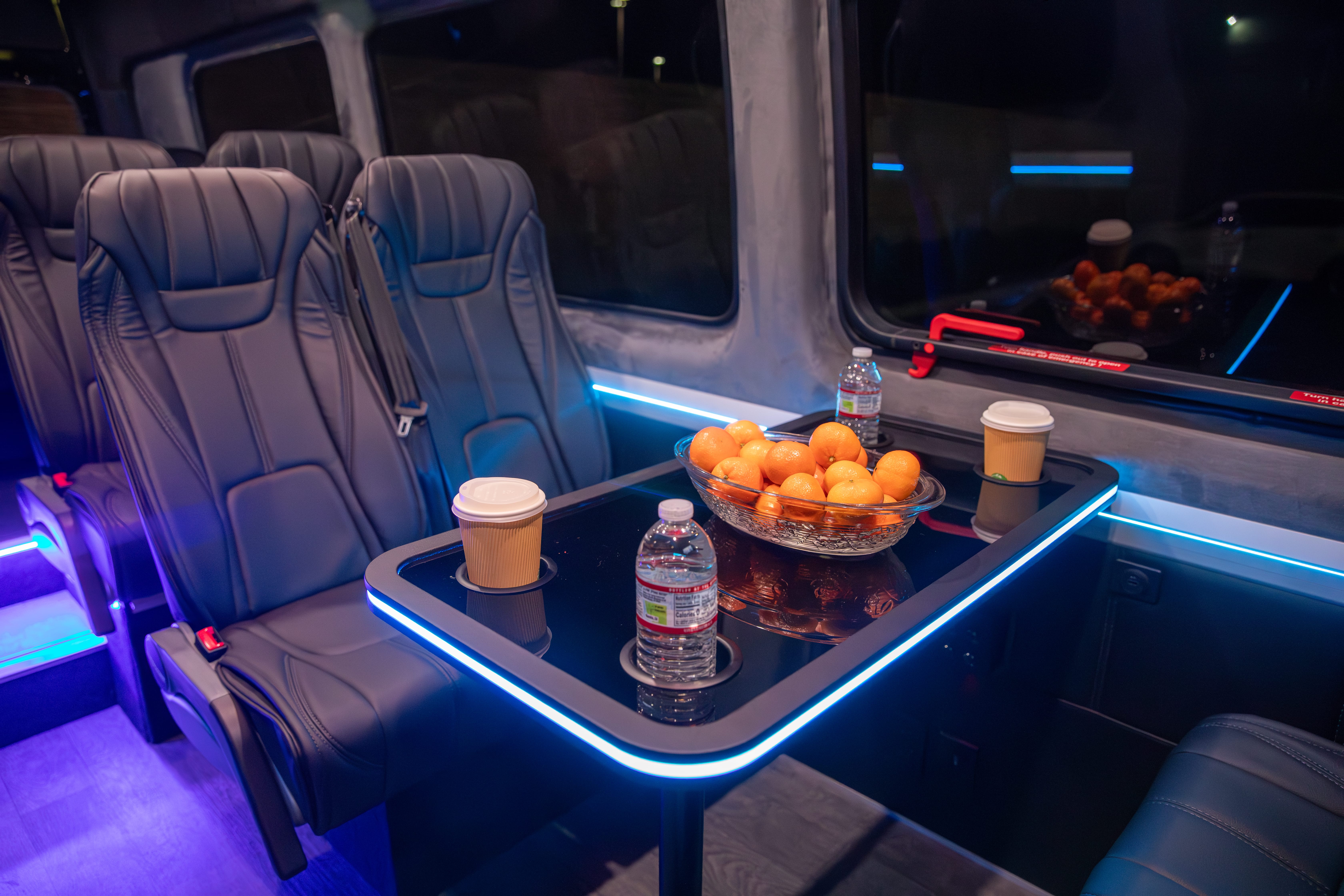 Custom Sprinter Van
